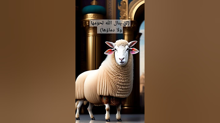 قران كريم عن #الاضحية بصوت عبد الله موسى  #العيد #الأضحية