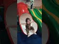 Zaron playing in play area part 2