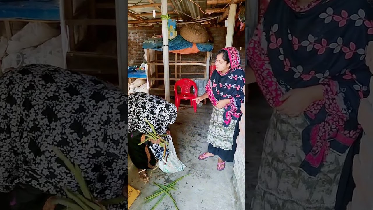 আমার শাশুড়ি সব সময় বিটিভি করে