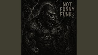 NOT FUNNY FUNK 2