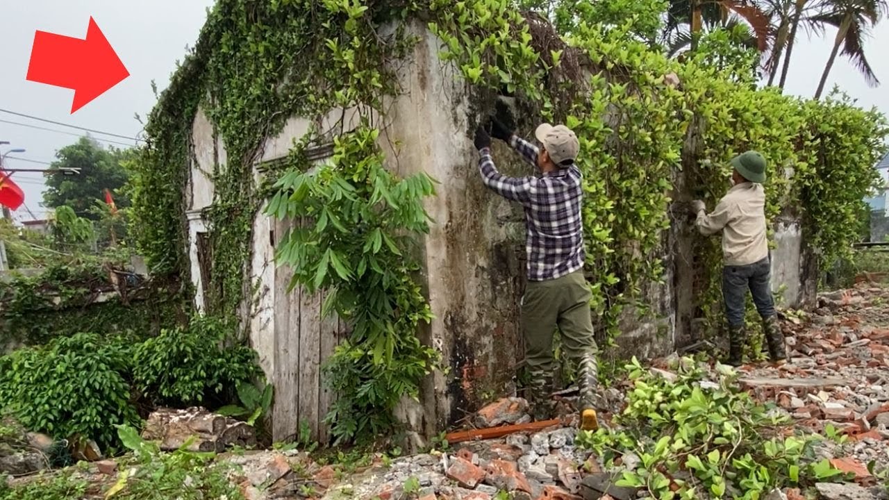 Haunting moment: Venomous snake attacks volunteer on roof while cleaning for single mother, clean up