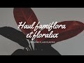 Haul floralux famiflora et fleur dpt  beaucoup de plantes pas cheres 