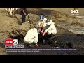 У Тонга після виверження підводного вулкану загинули двоє людей | ТСН 12:00