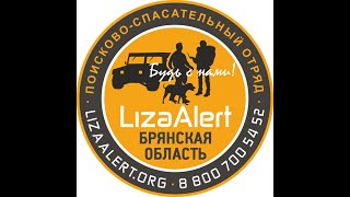 Поздравление отряда &quot;LizaAlert&quot; Брянской области с днём рождения