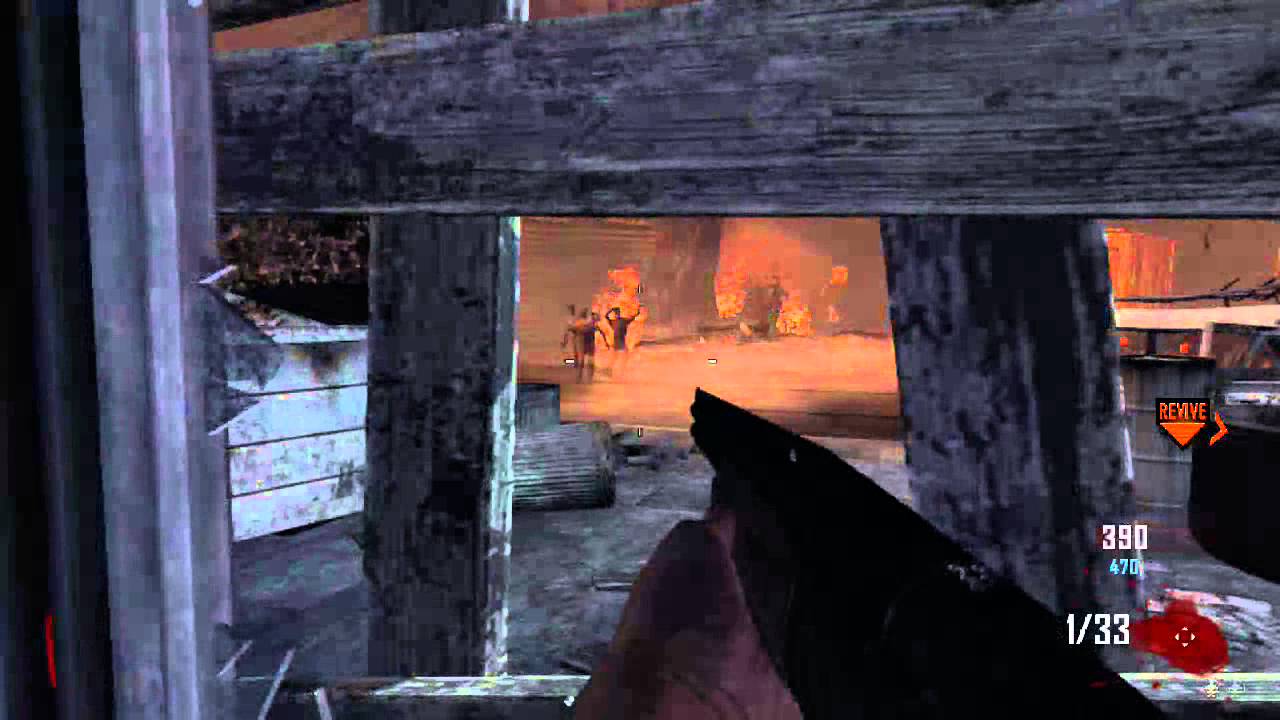 Ray Gun Perma Perk Black Ops 2 With Evidence!!!!