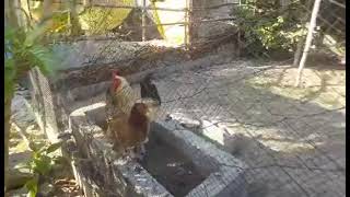 4.3-40 Hectares National Highway Frontage Residentialcommercial Lubao, Pampanga, Philippines