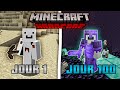 Jai survcu 100 jours sur minecraft hardcore