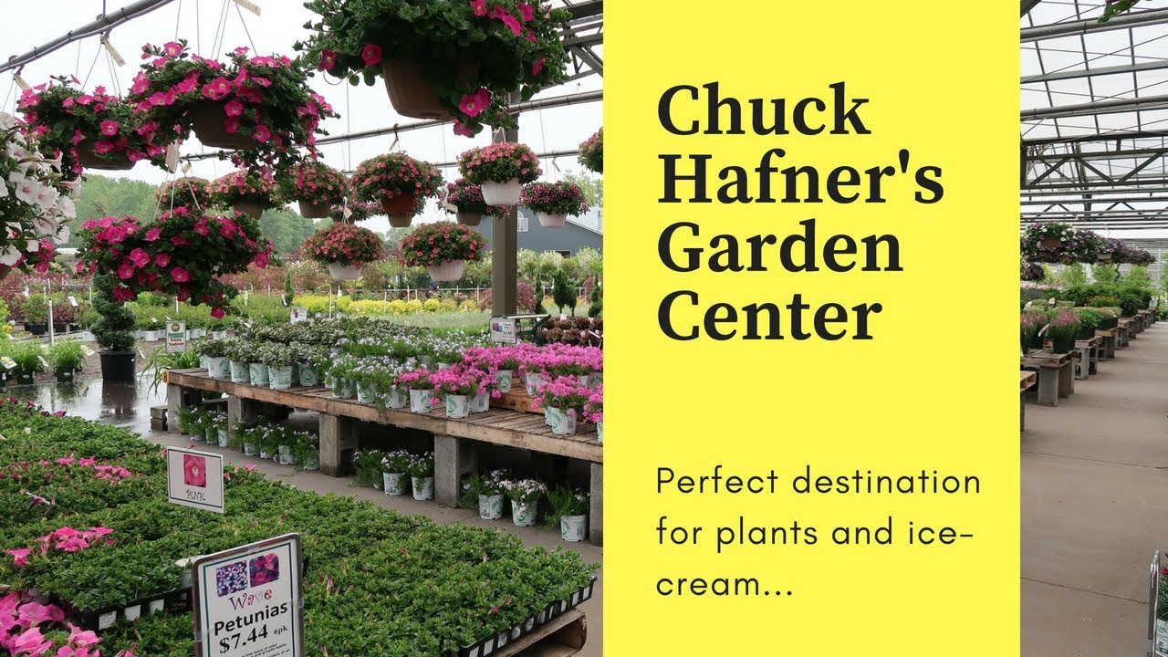 Chuck Hafner S Garden Center Youtube