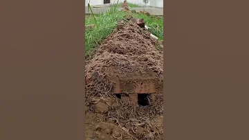 NGE WALIVOJAA JUU YA KABURI LA MTU MAARUFU 