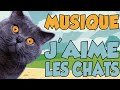 Youtunes  jaime les chats musique