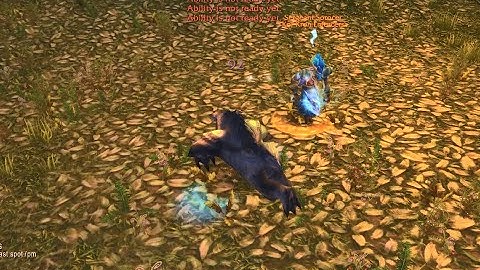 Turtle WoW PVP - Nelf Druid vs Troll Shamen