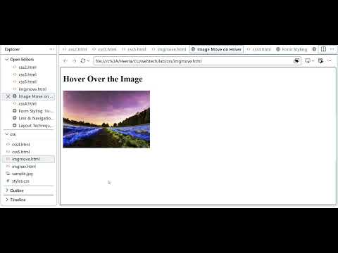CSS Image Hover Effect Tutorial | Move an Image with Transform & Transition