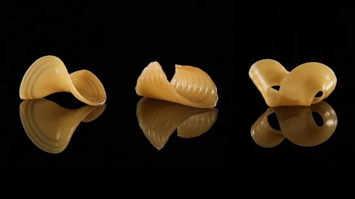 MIT researchers create flat-pack food that takes shape in water