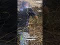 Trabajos de el parque de la interconexión de La Lagunita - La Unión