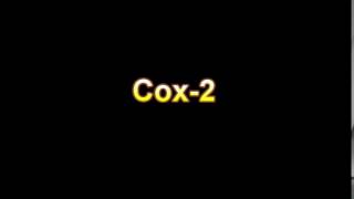 What Is The Definition Of Cox 2 - Medical Dictionary Free Online