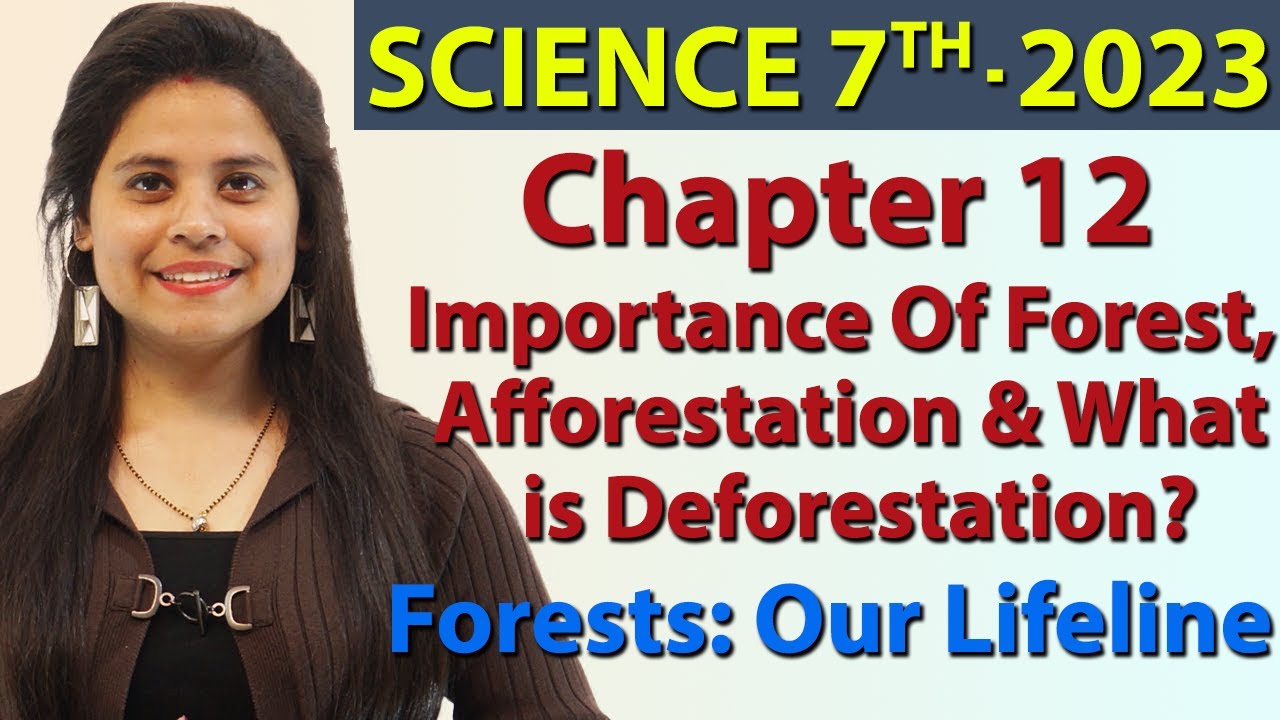 Importance Of Forest, Afforestation & What is Deforestation? Chapter 17 -  Forests: Our Lifeline - YouTube