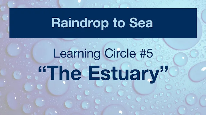 Raindrop to Sea Video Series - LC 5 - "The Estuary" - DayDayNews