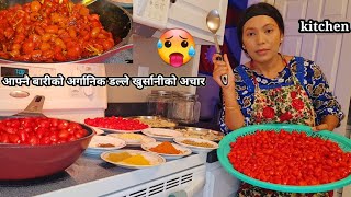 Nepali Style Dallekhursani ko Achar/आफ्नै बारीको अर्गानिक डल्ले खुर्शानी को अचार/Super Spicy ?/