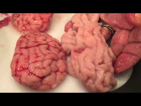 Video: How To Cook Beef Brains