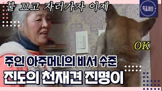 [FULL영상] 주인 아주머니의 비서(?) 진명이, 사람 말 다 알아듣는 개? 아주 신통방통 하네~