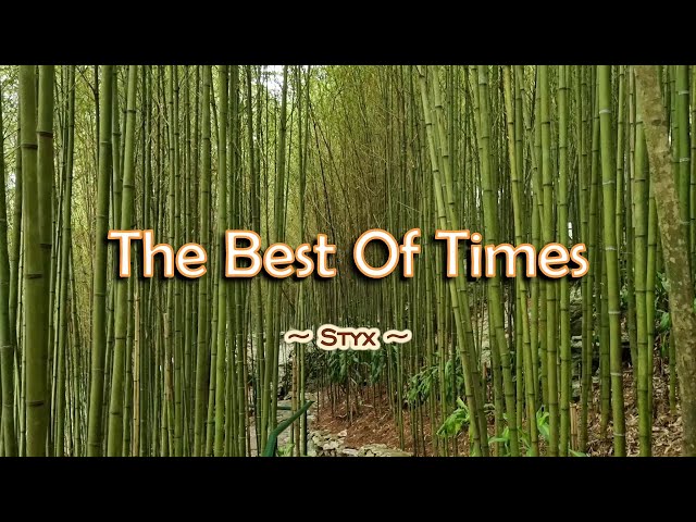 The Best Of Times - KARAOKE VERSION - in the style of Styx class=