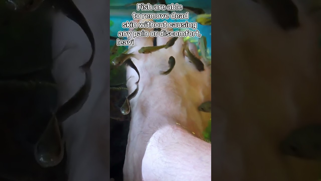 🐟🐟🐟 Fish Spa Pedicure | Fish Eat Our Dead Skin! 🧟🧟🧟 