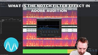 What Is The Notch Filter Effect in Adobe Audition