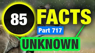 Detailed 85 Unusual Facts You Won’t Believe Information