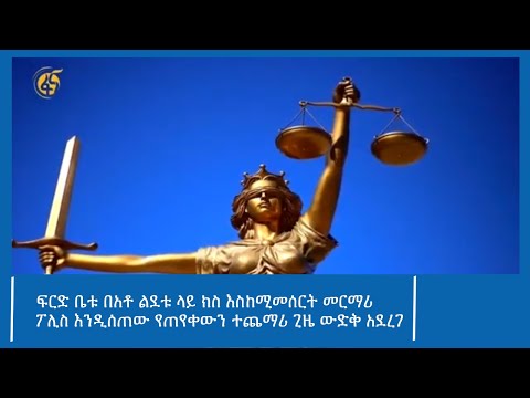 ፍርድ ቤቱ በአቶ ልደቱ ላይ ክስ እስከሚመሰርት መርማሪ ፖሊስ እንዲሰጠው የጠየቀውን ተጨማሪ ጊዜ ውድቅ አደረገ