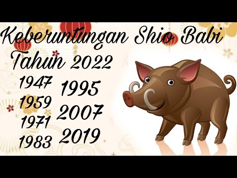 Video: Adakah 1995 tahun babi emas?