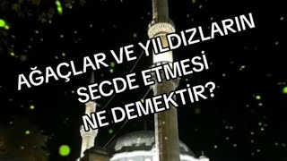 Yildizlar Ve Ağaçlar Nasil Secde Eder? Ür