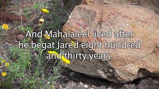 Genesis 516 - And Mahalaleel Lived After He Begat Jared - Bible Verses For Presentations
