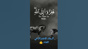 ففروا إلى الله ♥️♥️ _ تلاوة هادئة تريح القلب _ بذكر الله نحيا