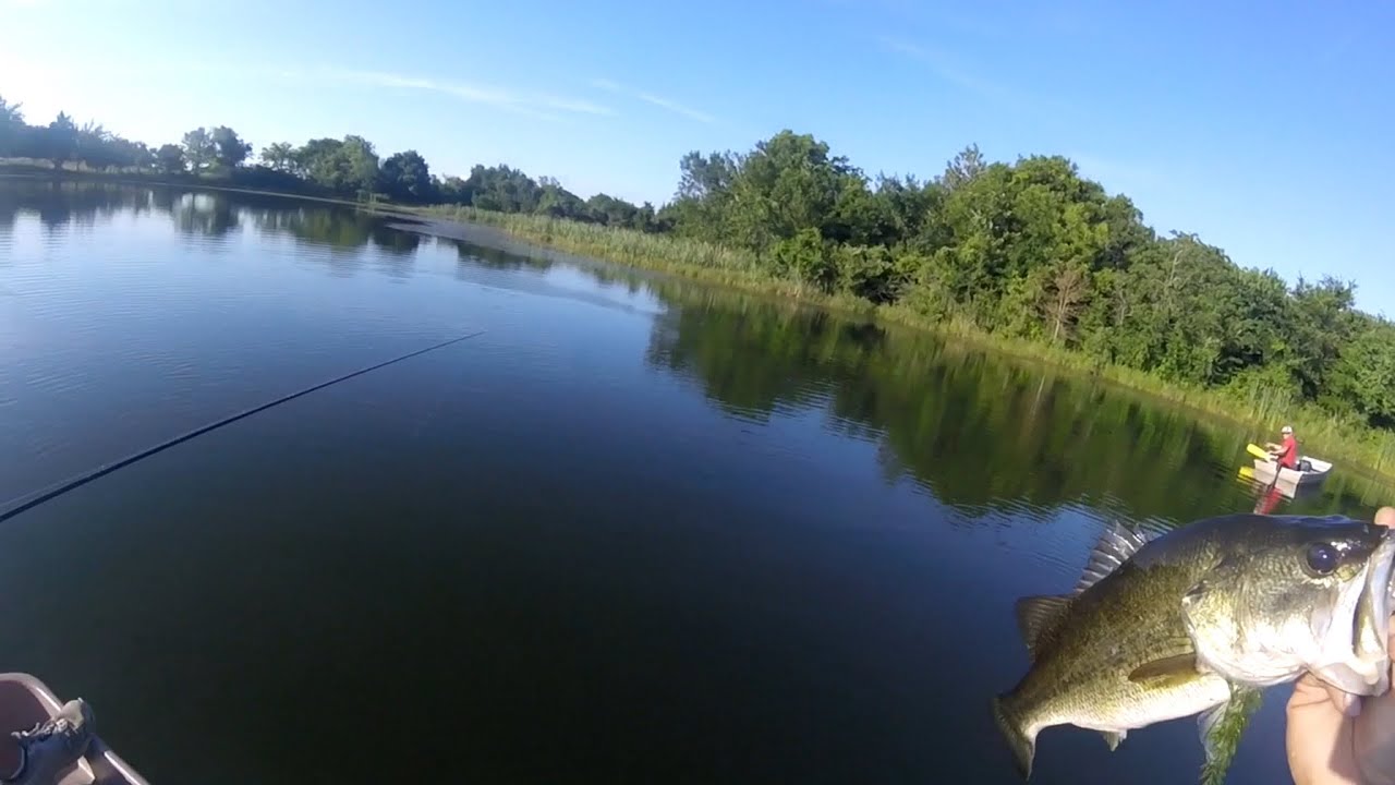 BASS Fishing heavy vegetation IN CLEAR WATER.. YouTube