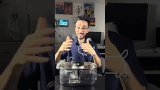 Motion sensored pet water fountain worth it? #petgadgets #tech #ytshorts #ytviral