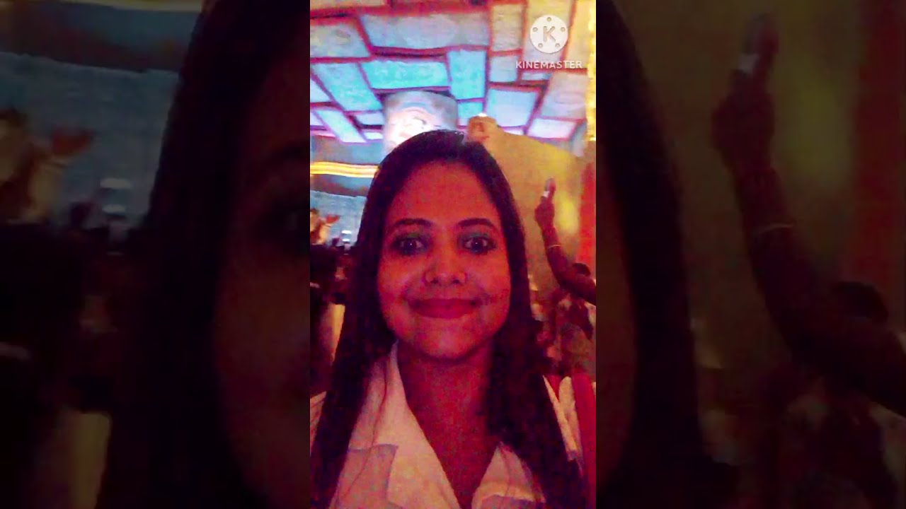 Mini Vlog 251 