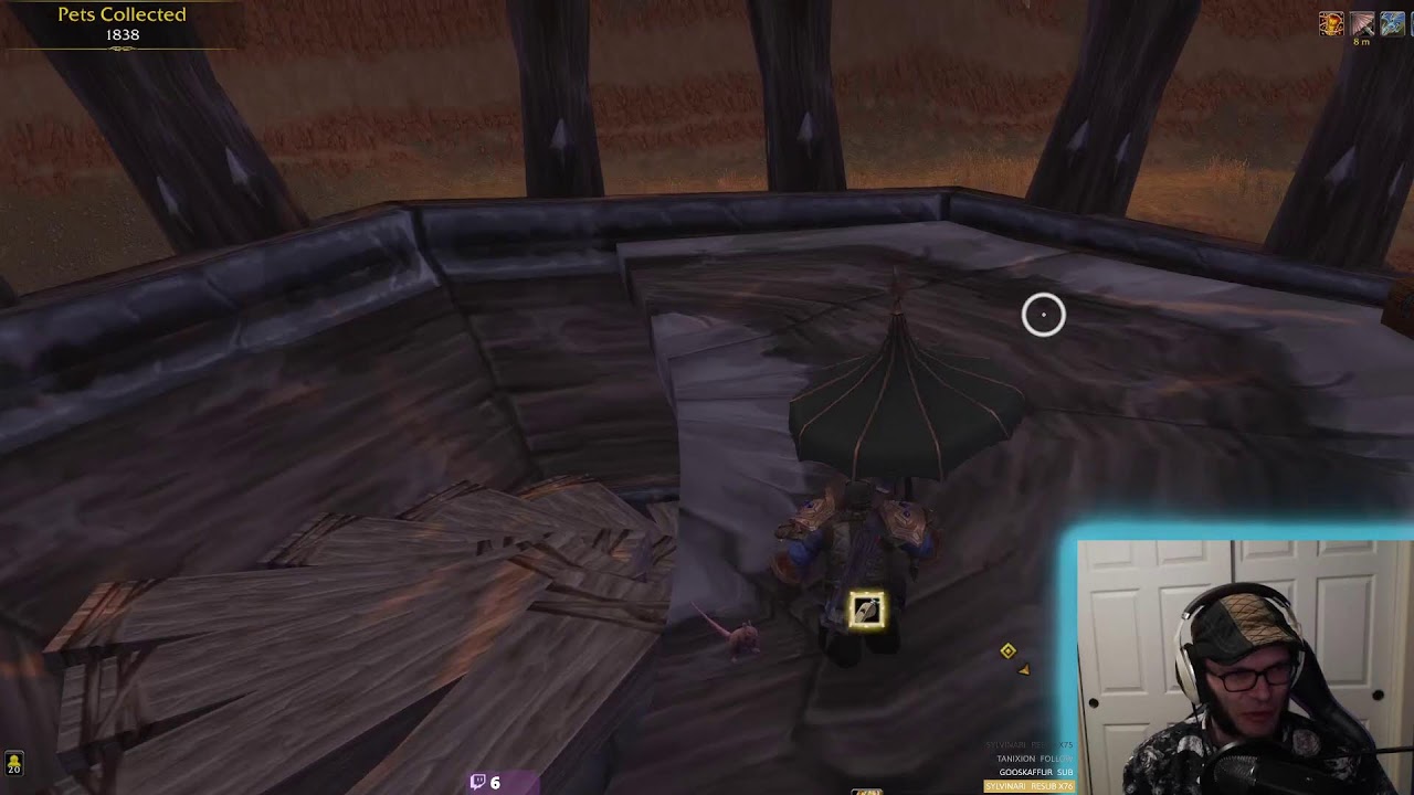 PvP Pet Battles - BFA Meta Acheivment