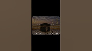 تلاوة من سورة الطور الشيخ خالد بن سالم باوزير | مسجد البراء بن مالك