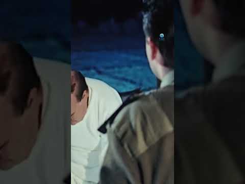 يا فاشل يا فاشل 