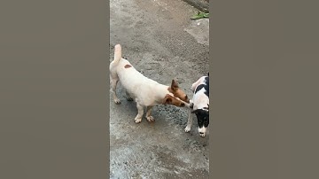 ngày 23 tháng 10, 2023