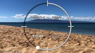 Calming 4-4-4-4 Breathing Exercise: 5 Minutes