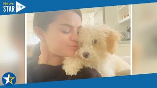 Selena Gomez cuddles up to her dog Winnie as she shares precious snap of her 'baby' 17 354643