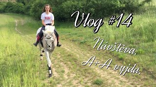 Vlog #14 // Návštěva, vyjda A+A