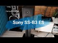 Sony ss b3es  one minute to like ep 2