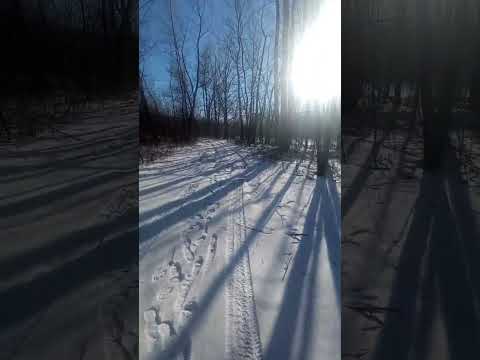 #атмосфера #сталкер #эстетика