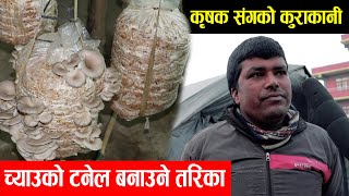 च्याउको टनेल बनाउने तरिका र कृषक सगंको बिशेष कुराकानी || Mushroom Cultivation in Nepal