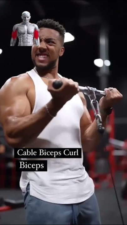 Cable Biceps Curl Variations #shorts