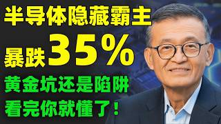 佩洛西重仓押注、CEO亲自抄底！股价反而暴跌35%，这轮半导体板块大洗牌，会成为2026最后的抄底机会？如果你手里还持有这家公司，这期视频一起要看完！#INTC｜#NVDA #AMD #TSM #美股