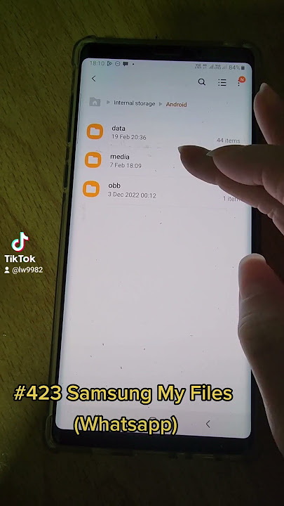 423 Samsung My Files (Whatsapp) . Another way to find your Whatsapp Images or video. #whatsapp