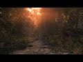 Rebuilding My Skyrim PC Load Order #1